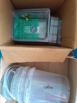 13ks Ubikace pro kudlanky - 2