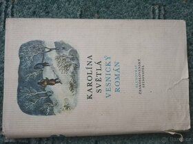 Karolína Světlá - Vesnický román - 2