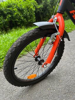 Arezzo Bubu 18" 2020 (2x) - 2