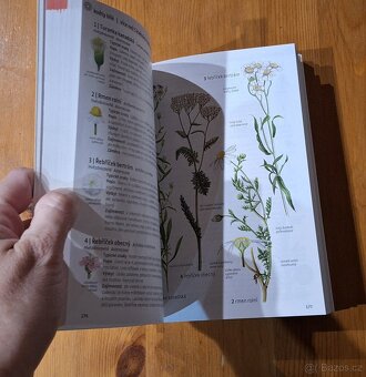 Knížka  herbář. Co tu kvete? - 2