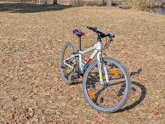 Juniorské kolo 24" Apache buffalo - 2