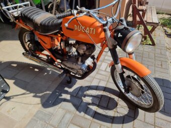 Ducati TS 175 - 2