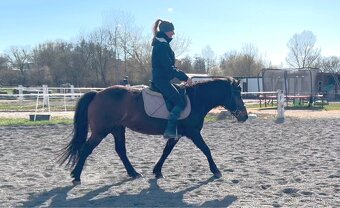 Pony klisna - 2