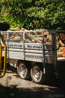Kácení stromů • Péče o zahradu • Likvidace Dřevin - 2