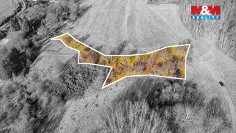 Prodej louky, 3251 m², Radeč u Horní Police, Žandov - 2