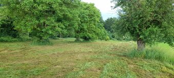 Zahrádka 450 m² – Zahrádky U Jabloní, Železnice u Jičína – v - 2