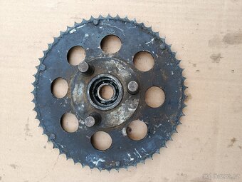 Rozeta na pionýra. - 2