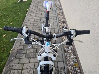 Dětské kolo 24 Superior Paint 24 - 2