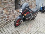 KAWASKI GPZ 600R - 2