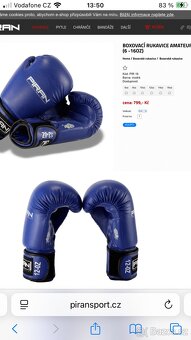 Boxovací pytel a rukavice pro deti od 10 let - 2