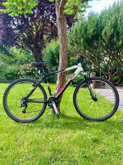 Horské kolo ROCKMACHINE thunder xc series - 2
