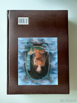 Školák Kája Mařík/ Felix Háj/ I-IV. díl/ 2010 - 2
