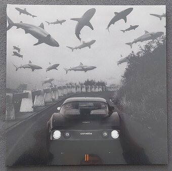 PAULIE GARAND VINYLY - 2