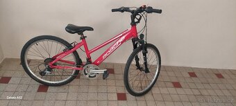 Kolo Apache Starlight 24 - 2