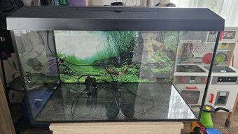 Akvarium 60x30x30 - 2