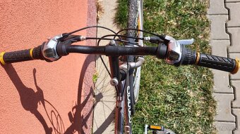 Kolo KELLYS Stylus cross, rám 21" - 2