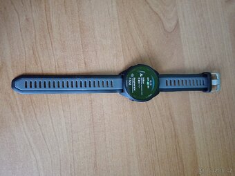 Garmin Forerunner 165 - 2