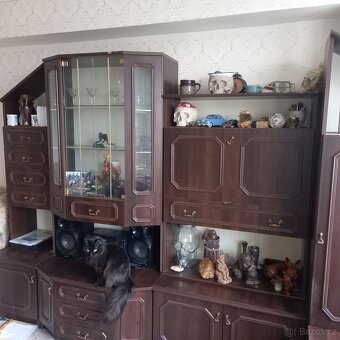 Obývací stěna - 2