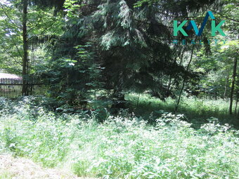 Prodej pozemku o velikosti 3 489 m2, v OV, Tisová u Nejdku - 2