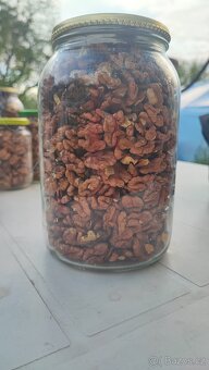 Prodám vlašské ořechy - 2