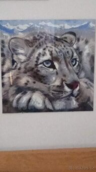 Obraz - leopard - 2