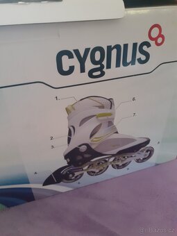 Brusle Cygnus - 2
