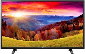 LG 43" - 2