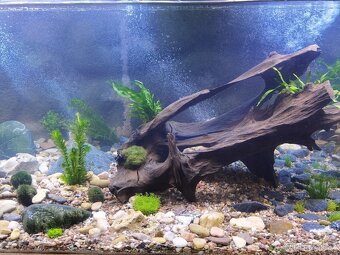 Prodám velké akvárium 700 litrů - 2