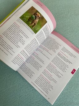 Přírodní léčba psa - 2