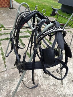 Prodám poprsní párové postroje na pony - 2