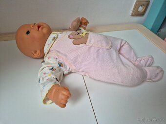 Panenka chou chou - 2