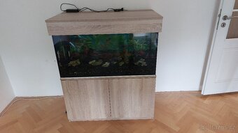 akvarium - 2