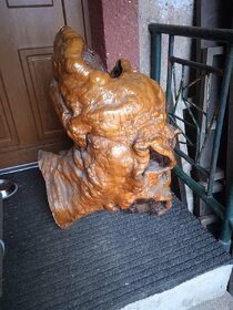 Stromový nádor - 2