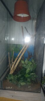 Terárium 80x60x40 cm - 2