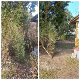 Rekultivace a údržba zeleně - 2