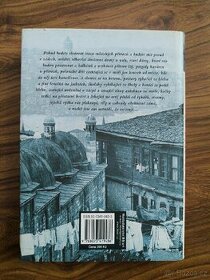 Kniha: Istanbul vzpomínky na město - 2