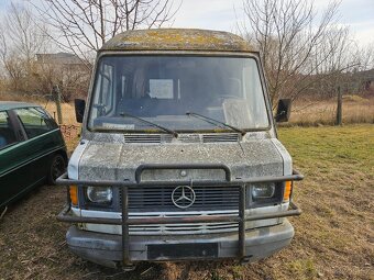 Mercedes-Benz 309D - 2