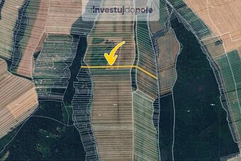 Prodej pole v k.ú. Podolí nad Olšavou - 2