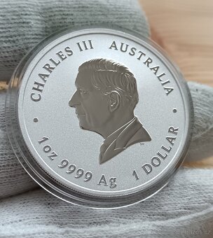 Stříbrná mince 1oz 31,1g čistého stříbra 2025 Rok Hada - 2