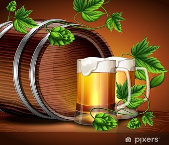 Odpovědný zástupce/ garant - 2