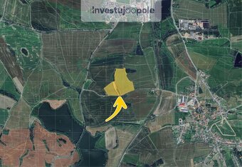 Prodej pole v k.ú. Smrkovice - 2