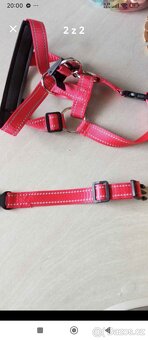 Postroj/kšíry pro menšího pejska - 2