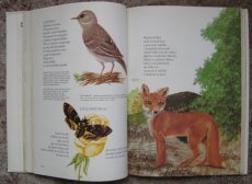 Velká knížka o zvířatech - 2