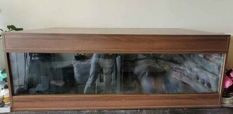 Terarium 170x62x70 - 2