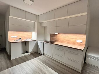 Pronájem bytu 1+kk 30 m² - 2