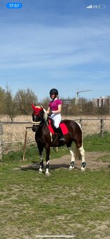 Červená sada (podsedlovka + čabraka) - 2