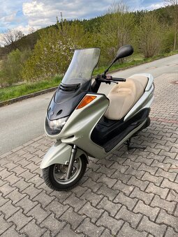 Yamaha Majesty 250 - 2