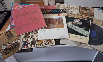 Gramofonové / LP / Vinylové Desky - Velký MIX - 2
