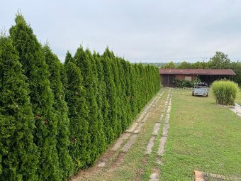 Realizace a údržba zahrad a veřejné zeleně - 2