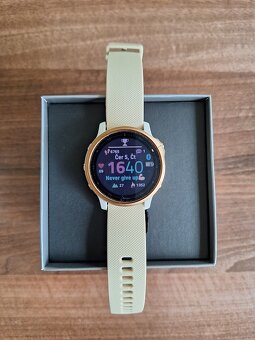 Chytré hodinky GARMIN Fénix 6S PRO - 2